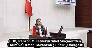CHP Trabzon Milletvekili Sibel Suiçmez’den Tarım ve Orman Bakanı’na "Fındık" Önergesi: 