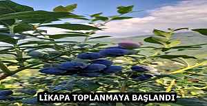LİKAPA TOPLANMAYA BAŞLANDI