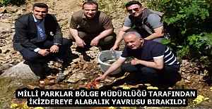 MİLLİ PARKLAR BÖLGE MÜDÜRLÜĞÜ TARAFINDAN İKİZDEREYE ALABALIK YAVRUSU BIRAKILDI