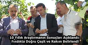 10 Yıllık Araştırmanın Sonuçları Açıklandı: Fındıkta Doğru Çeşit ve Rakım Belirlendi