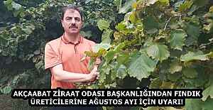 AKÇAABAT ZİRAAT ODASI BAŞKANLIĞINDAN FINDIK ÜRETİCİLERİNE AĞUSTOS AYI İÇİN UYARI!