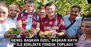 GENEL BAŞKAN ÖZEL, BAŞKAN KAYA İLE BİRLİKTE FINDIK TOPLADI