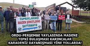 ORDU-PERŞEMBE YAYLASINDA MADENE TEPKİ...