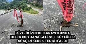 RİZE-İKİZDERE KARAYOLUNDA DELİK MEYDANA GELİNCE KÖYLÜLER AĞAÇ DİKEREK TEDBİR ALDI