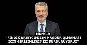 MUMCU: “FINDIK ÜRETİCİMİZİN MAĞDUR OLMAMASI İÇİN GİRİŞİMLERİMİZİ SÜRDÜRÜYORUZ”