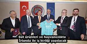 Süt ürünleri ve hayvancılıkta İrlanda ile iş birliği yapılacak