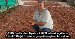 TMO fındık alım fiyatını 250 TL olarak açıkladı. Güzel… Kâğıt üzerinde gerçekten güzel bir rakam.