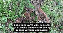 DOĞA KORUMA VE MİLLİ PARKLAR 12.BÖLGE MÜDÜRLÜĞÜNDEN KARACA YAVRUSU AÇIKLAMASI