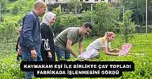 KAYMAKAM EŞİ İLE BİRLİKTE ÇAY TOPLADI, FABRİKADA İŞLENMESİNİ GÖRDÜ