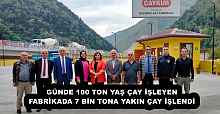 GÜNDE 100 TON YAŞ ÇAY İŞLEYEN FABRİKADA 7 BİN TONA YAKIN ÇAY İŞLENDİ