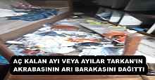 AÇ KALAN AYI VEYA AYILAR TARKAN’IN AKRABASININ ARI BARAKASINI DAĞITTI