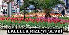LALELER RİZE’Yİ SEVDİ