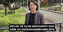 BÖLGE VE ÜLKE EKONOMİSİ İÇİN AĞIR SU DEĞERLENDİRİLMELİDİR.