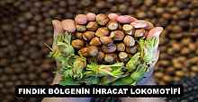FINDIK BÖLGENİN İHRACAT LOKOMOTİFİ