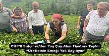 CHP’li Suiçmez’den Yaş Çay Alım Fiyatına Tepki: “Üreticinin Emeği Yok Sayılıyor”