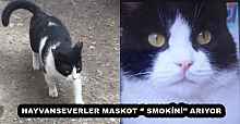 HAYVANSEVERLER MASKOT ‘’ SMOKİNİ’’ ARIYOR