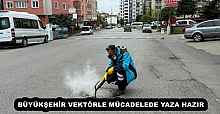 BÜYÜKŞEHİR VEKTÖRLE MÜCADELEDE YAZA HAZIR