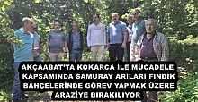 AKÇAABAT’TA KOKARCA İLE MÜCADELE KAPSAMINDA SAMURAY ARILARI FINDIK BAHÇELERİNDE GÖREV YAPMAK ÜZERE ARAZİYE BIRAKILIYOR