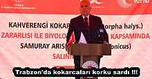 Trabzon'da kokarcaları korku sardı !!!!!!!!!