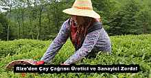 Rize'den Çay Çağrısı: Üretici ve Sanayici Zorda!