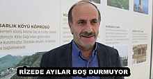 RİZEDE AYILAR BOŞ DURMUYOR