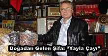 Doğadan Gelen Şifa: “Yayla Çayı”