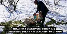 ORTAHİSAR BELEDİYESİ, SOĞUK KIŞ GÜNLERİNDE SOKAK HAYVANLARINI UNUTMADI