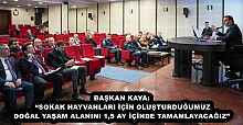 BAŞKAN KAYA: “SOKAK HAYVANLARI İÇİN OLUŞTURDUĞUMUZ DOĞAL YAŞAM ALANINI 1,5 AY İÇİNDE TAMAMLAYACAĞIZ” 