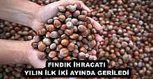 FINDIK İHRACATI YILIN İLK İKİ AYINDA GERİLEDİ