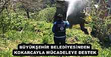 BÜYÜKŞEHİR BELEDİYESİNDEN KOKARCAYLA MÜCADELEYE DESTEK