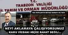 NEYİ AKLAMAYA ÇALIŞIYORSUNUZ  KAMU VİCDANI HİÇDE RAHAT DEĞİL!...