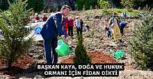 BAŞKAN KAYA, DOĞA VE HUKUK ORMANI İÇİN FİDAN DİKTİ