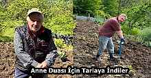 Anne Duası İçin Tarlaya İndiler
