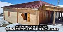 AYI SALDIRILARI BİTMİYOR  İKİZDERE’DE YAYLA EVLERİNDE BÜYÜK HASAR