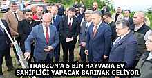 TRABZON'A 5 BİN HAYVANA EV SAHİPLİĞİ YAPACAK BARINAK GELİYOR