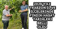 2026 YILI TRABZON İL VE İLÇELERİNDE FINDIK HASAT TARİHLERİ BELLİ OLDU