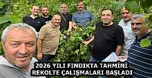 2026 YILI FINDIKTA TAHMİNİ REKOLTE ÇALIŞMALARI BAŞLADI