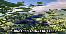 LİKAPA TOPLANMAYA BAŞLANDI