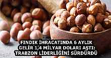 FINDIK İHRACATINDA 6 AYLIK GELİR 1,4 MİLYAR DOLARI AŞTI: TRABZON LİDERLİĞİNİ SÜRDÜRDÜ