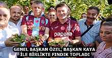 GENEL BAŞKAN ÖZEL, BAŞKAN KAYA İLE BİRLİKTE FINDIK TOPLADI