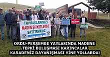 ORDU-PERŞEMBE YAYLASINDA MADENE TEPKİ BULUŞMASI KARINCALAR KARADENİZ DAYANIŞMASI YİNE YOLLARDA!