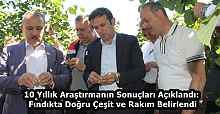 10 Yıllık Araştırmanın Sonuçları Açıklandı: Fındıkta Doğru Çeşit ve Rakım Belirlendi