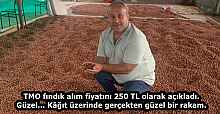 TMO fındık alım fiyatını 250 TL olarak açıkladı. Güzel… Kâğıt üzerinde gerçekten güzel bir rakam.