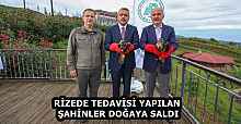 RİZEDE TEDAVİSİ YAPILAN ŞAHİNLER DOĞAYA SALDI