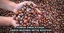FINDIK İHRACATINDA DEĞER BAZINDA ARTIŞ SÜRÜYOR