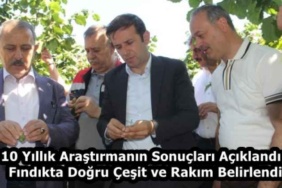 10_yillik_arastirmanin_sonuclari_aciklandi_findikta_dogru_cesit_ve_rakim_belirlendi_h59311_401fb