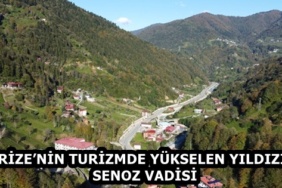 DCIM100MEDIADJI_0943.JPG