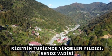 DCIM100MEDIADJI_0943.JPG
