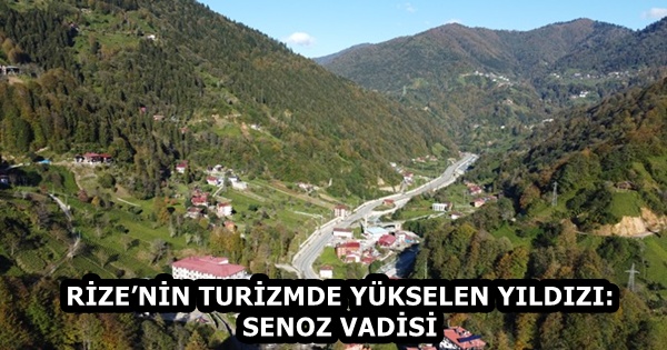 DCIM100MEDIADJI_0943.JPG