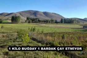 1_kilo_bugday_1_bardak_cay_etmiyor_h50122_b12bf